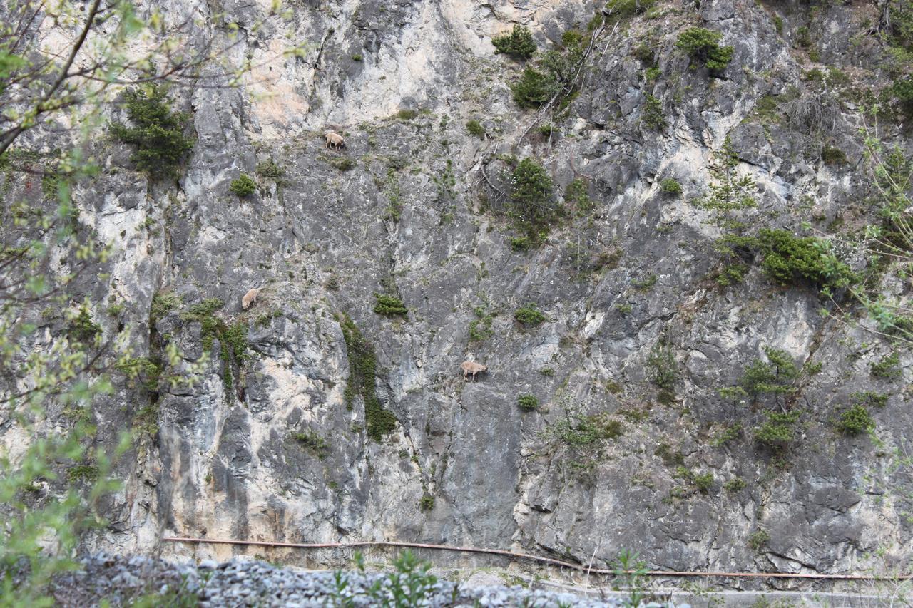 Ferienwohnung Al Bait De Gio Bormio Exterior foto